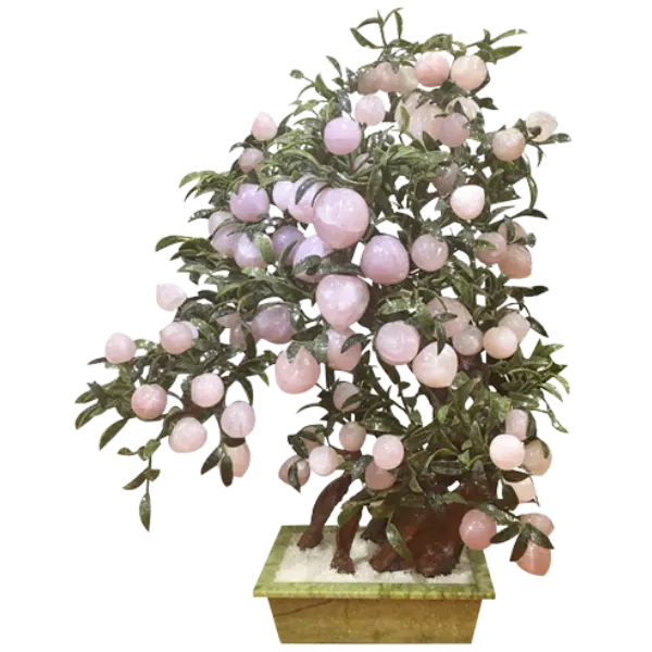 Bonsai Đào Thạch Anh 88 Quả 088